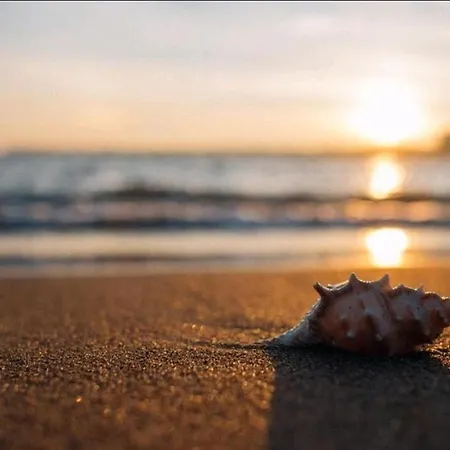 Huelin House Beach And Sun, Con Parking Y A 500 Metros De La Playa Appartamento *
